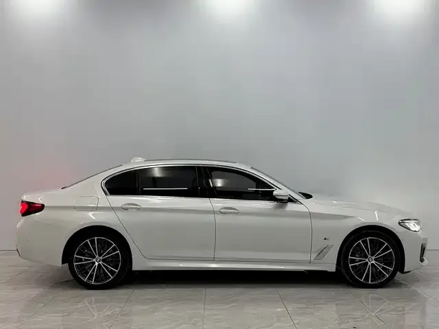 BMW 5 Series 2023 из CN, фото 2