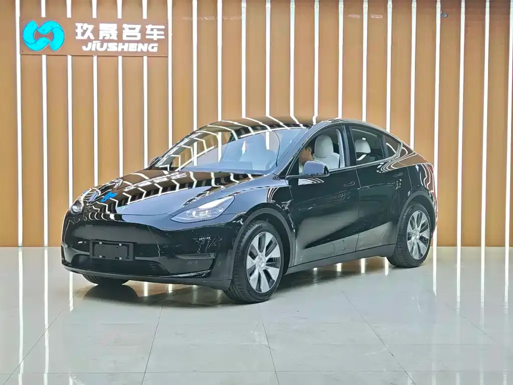 Tesla Model Y 2021 из CN, фото 1