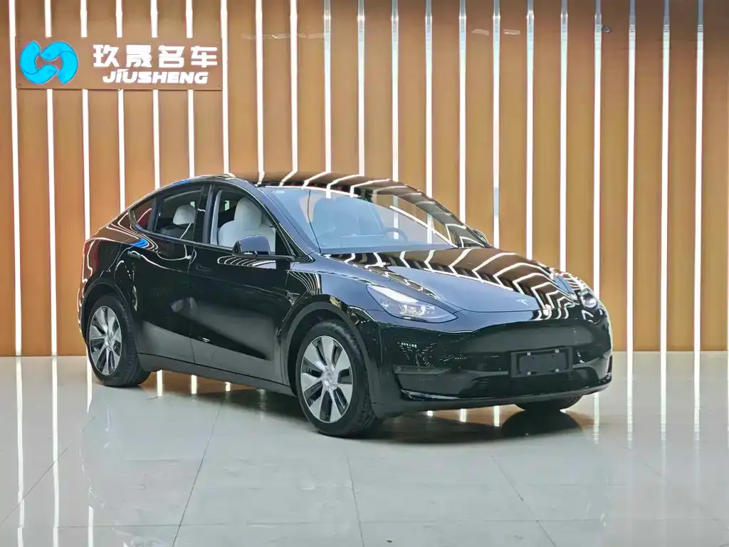 Tesla Model Y 2021 из CN, фото 2