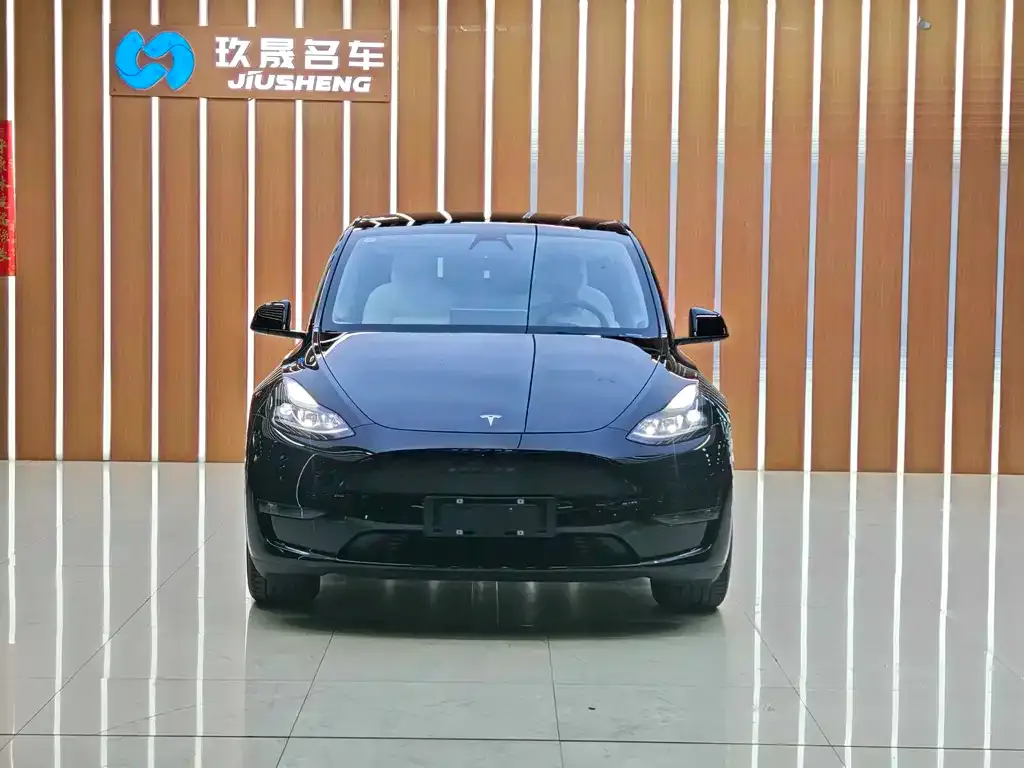 Tesla Model Y 2021 из CN, фото 3