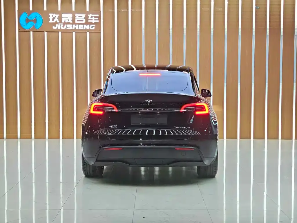 Tesla Model Y 2021 из CN, фото 4