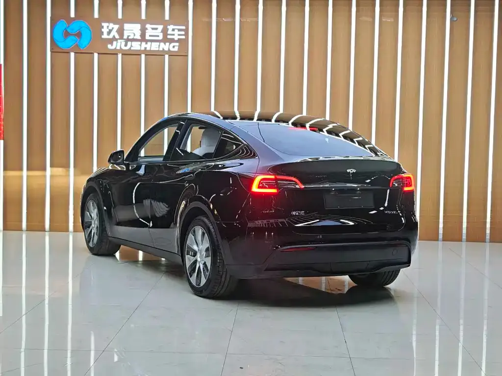 Tesla Model Y 2021 из CN, фото 5