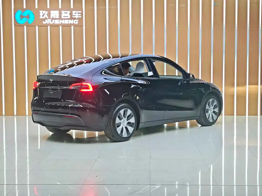 Tesla Model Y 2021 из CN, фото 6