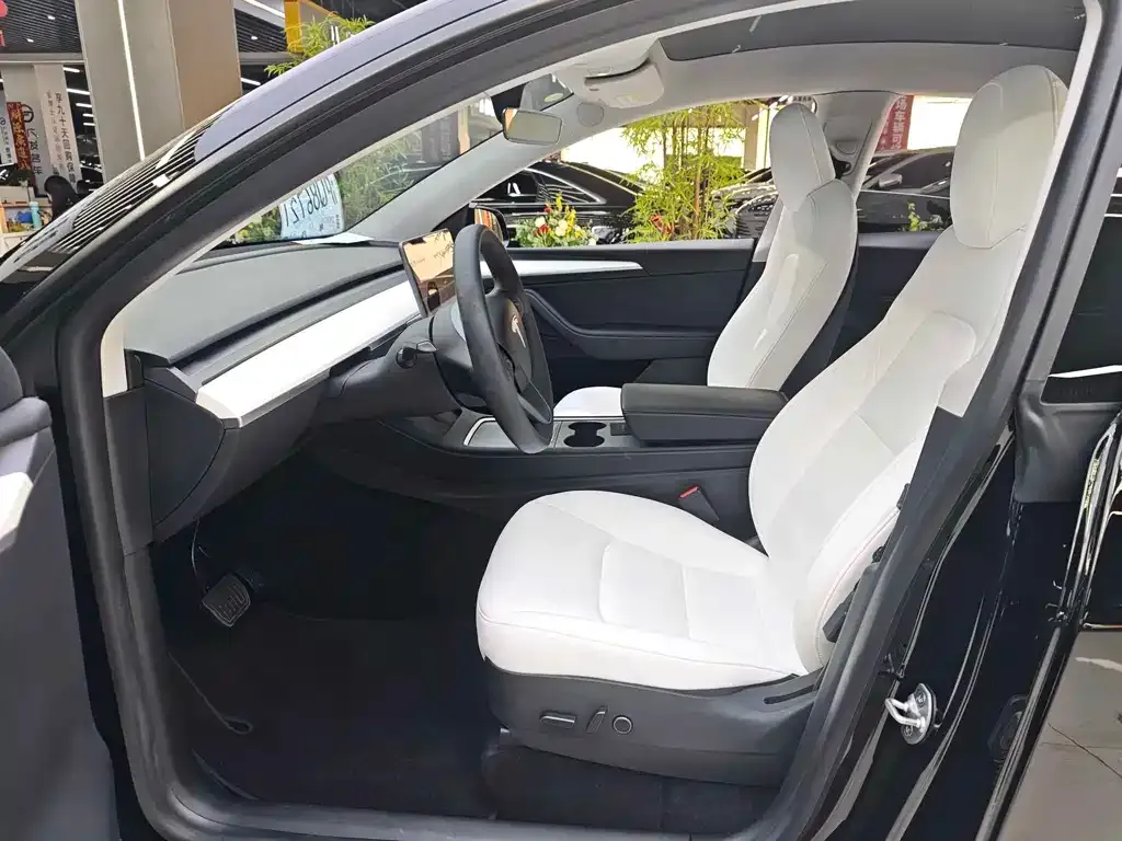 Tesla Model Y 2021 из CN, фото 9