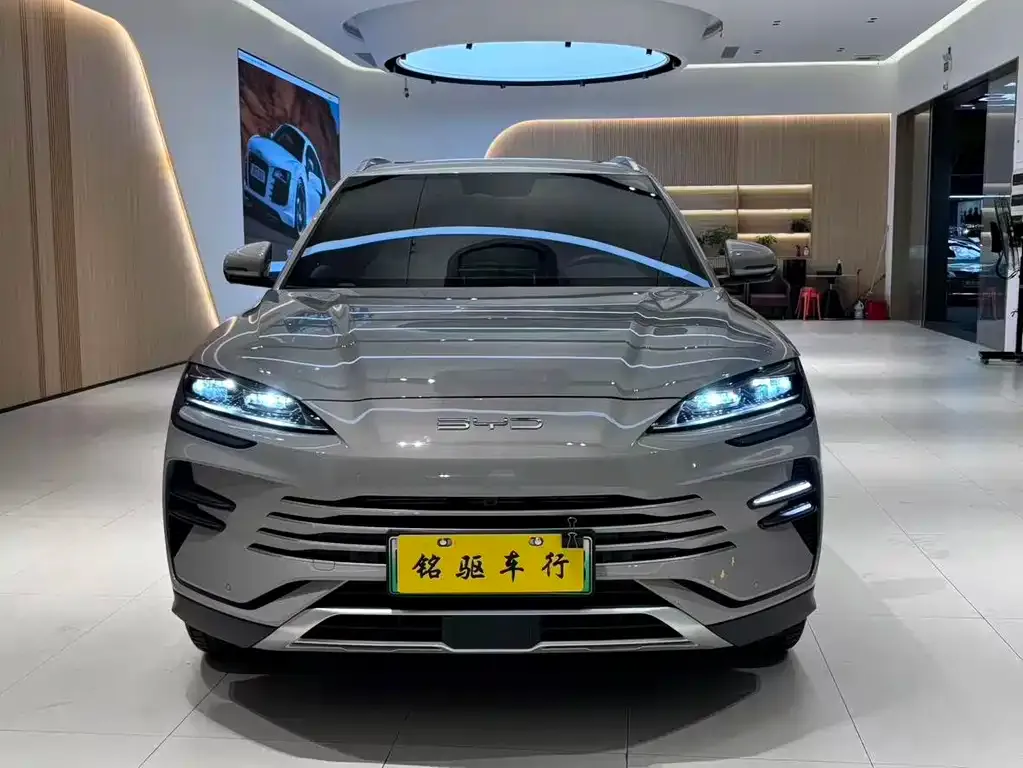 BYD PLUS New Energy 2024 из CN, фото 2