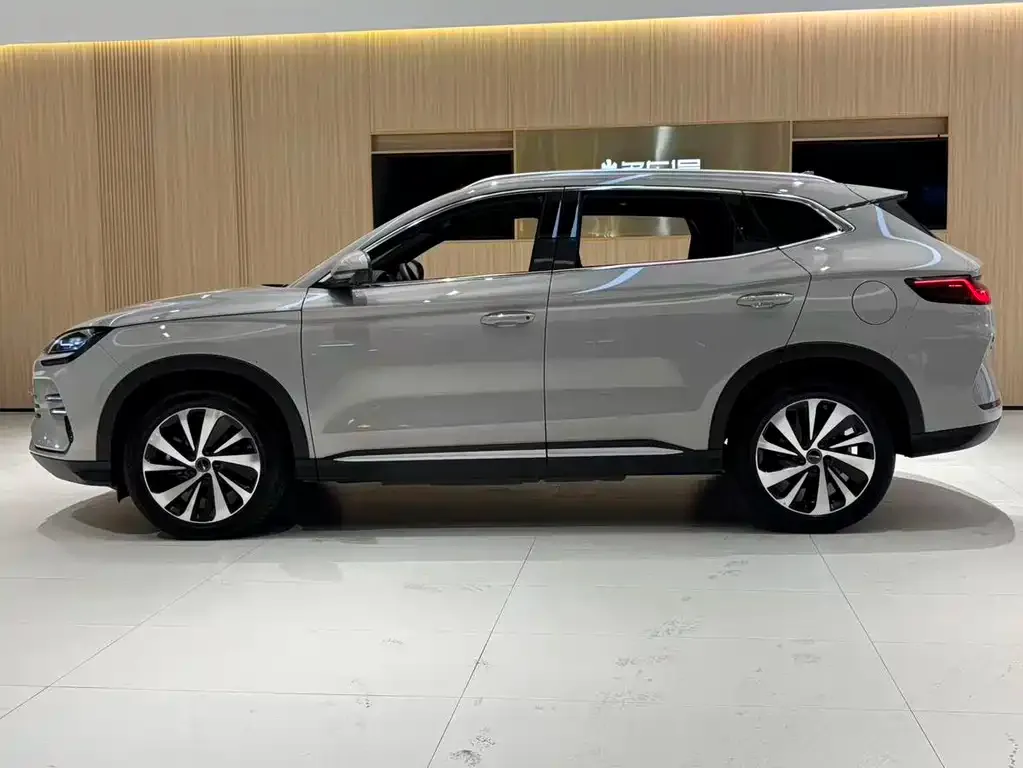 BYD PLUS New Energy 2024 из CN, фото 3