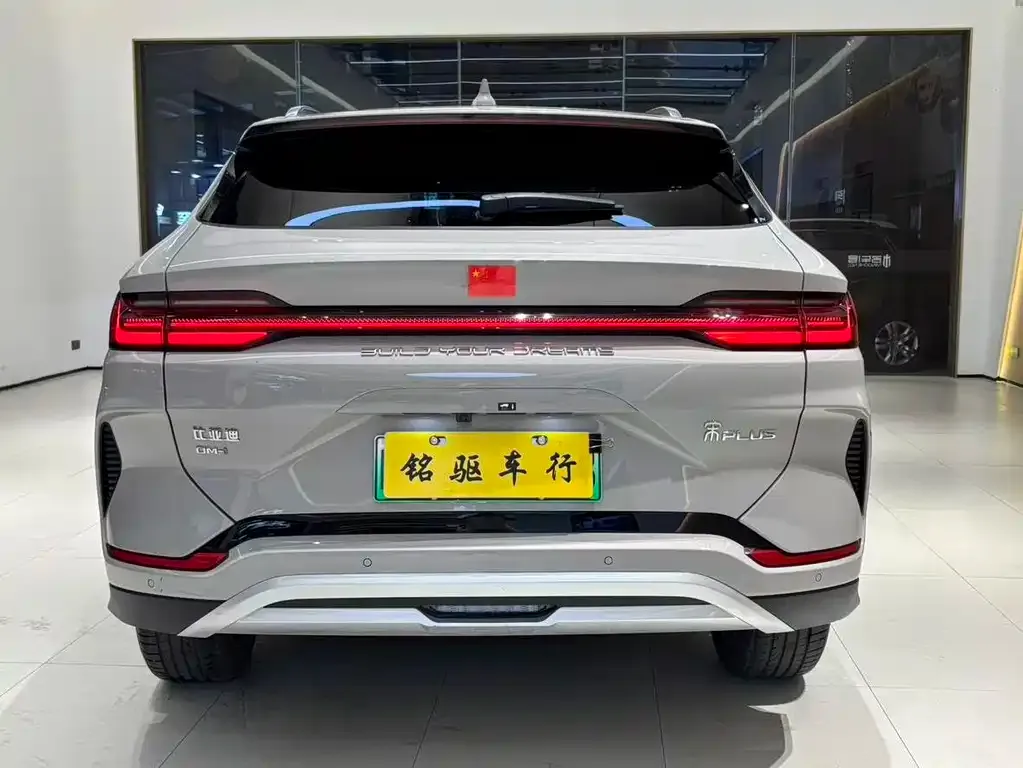 BYD PLUS New Energy 2024 из CN, фото 5