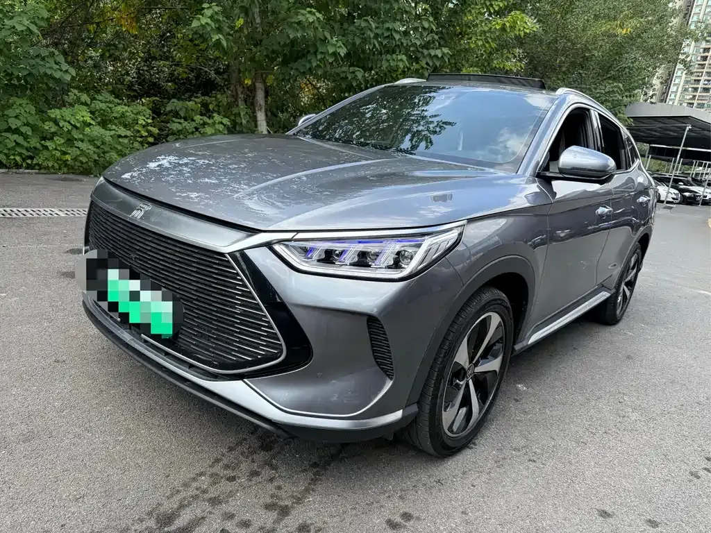 BYD PLUS New Energy 2022 из CN, фото 1
