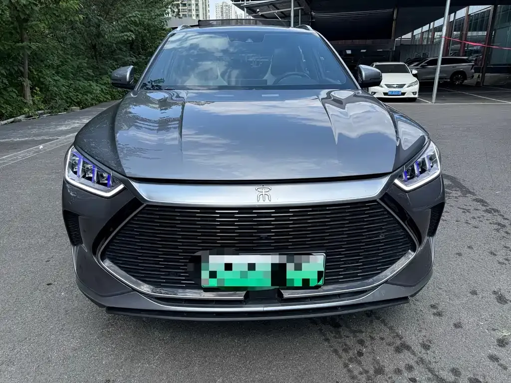 BYD PLUS New Energy 2022 из CN, фото 2