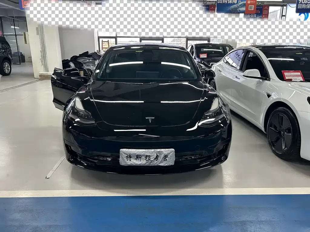Tesla Model 3 2021 из CN, фото 2