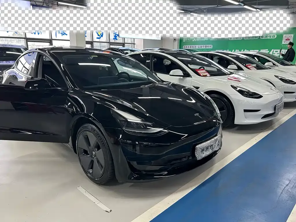 Tesla Model 3 2021 из CN, фото 3
