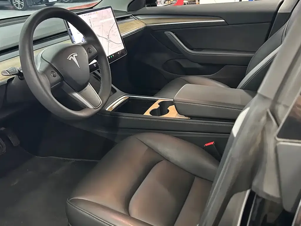 Tesla Model 3 2021 из CN, фото 5