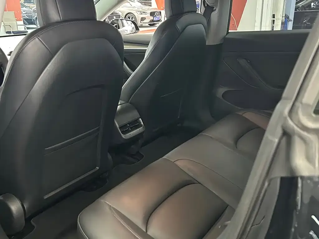 Tesla Model 3 2021 из CN, фото 6