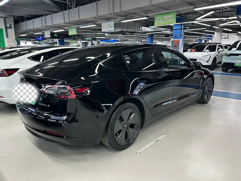 Tesla Model 3 2021 из CN, фото 8