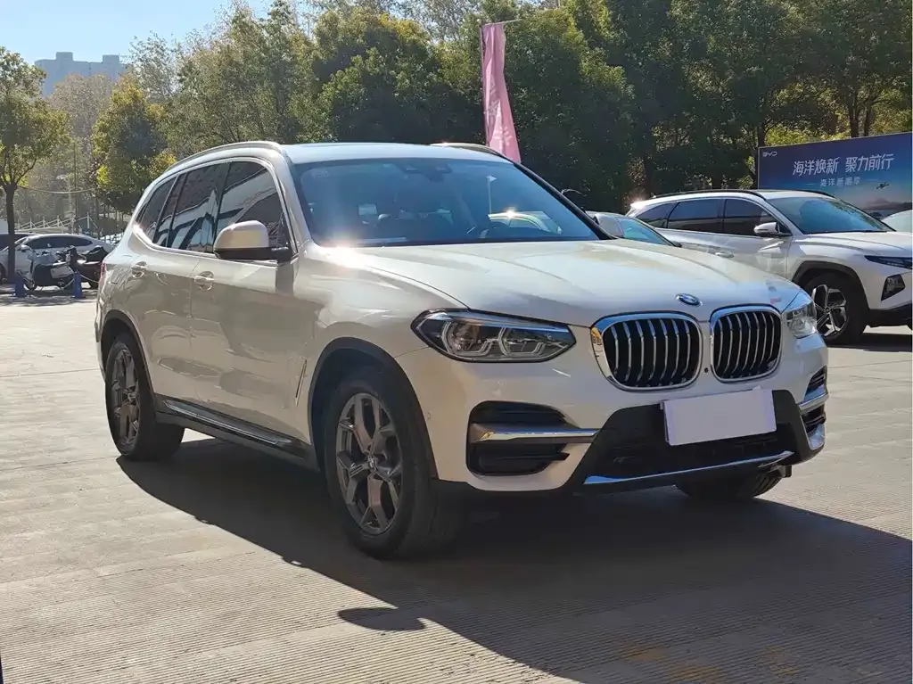 BMW X3 2021 из CN, фото 3