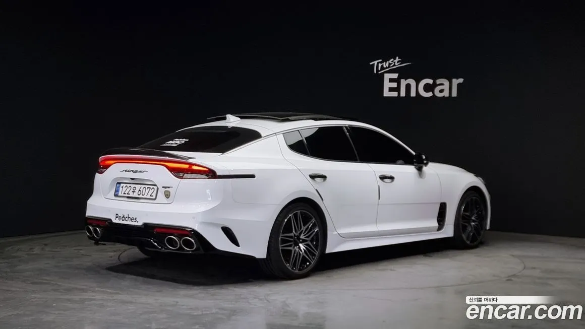 [object Object] Stinger 2023 из KR, фото 2