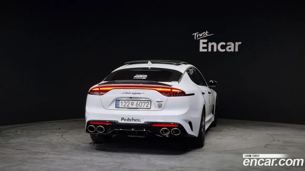 [object Object] Stinger 2023 из KR, фото 4