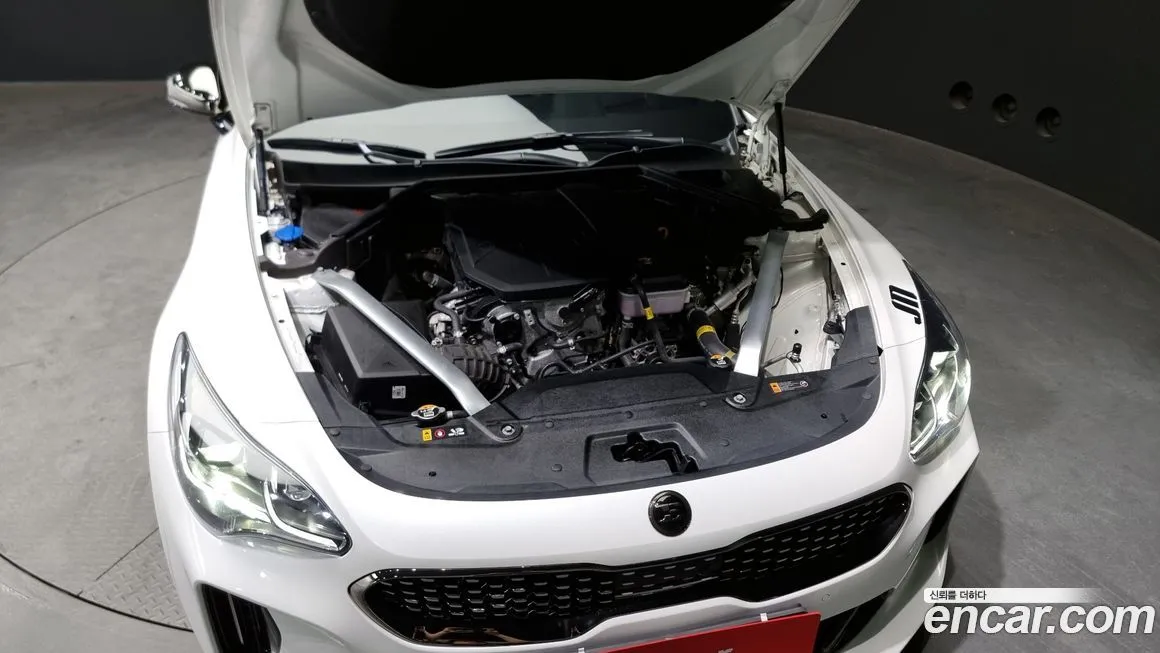 [object Object] Stinger 2023 из KR, фото 6