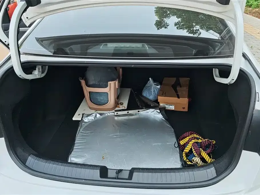 Volkswagen Sagitar 2021 из CN, фото 4