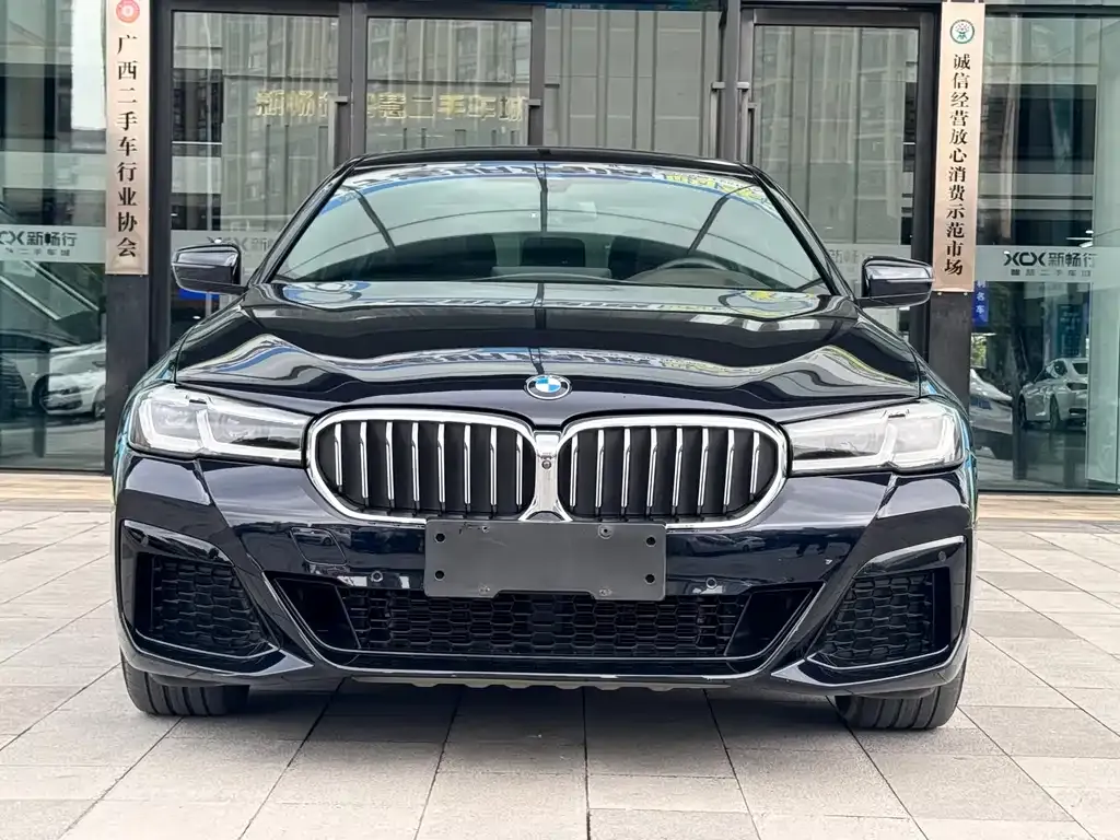 BMW 5 Series 2021 из CN, фото 2