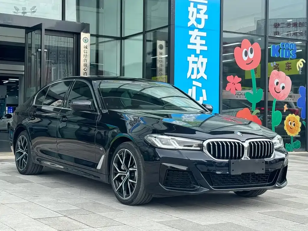 BMW 5 Series 2021 из CN, фото 3