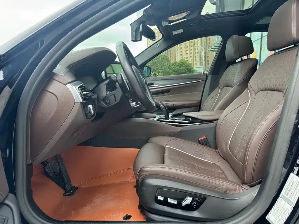 BMW 5 Series 2021 из CN, фото 4