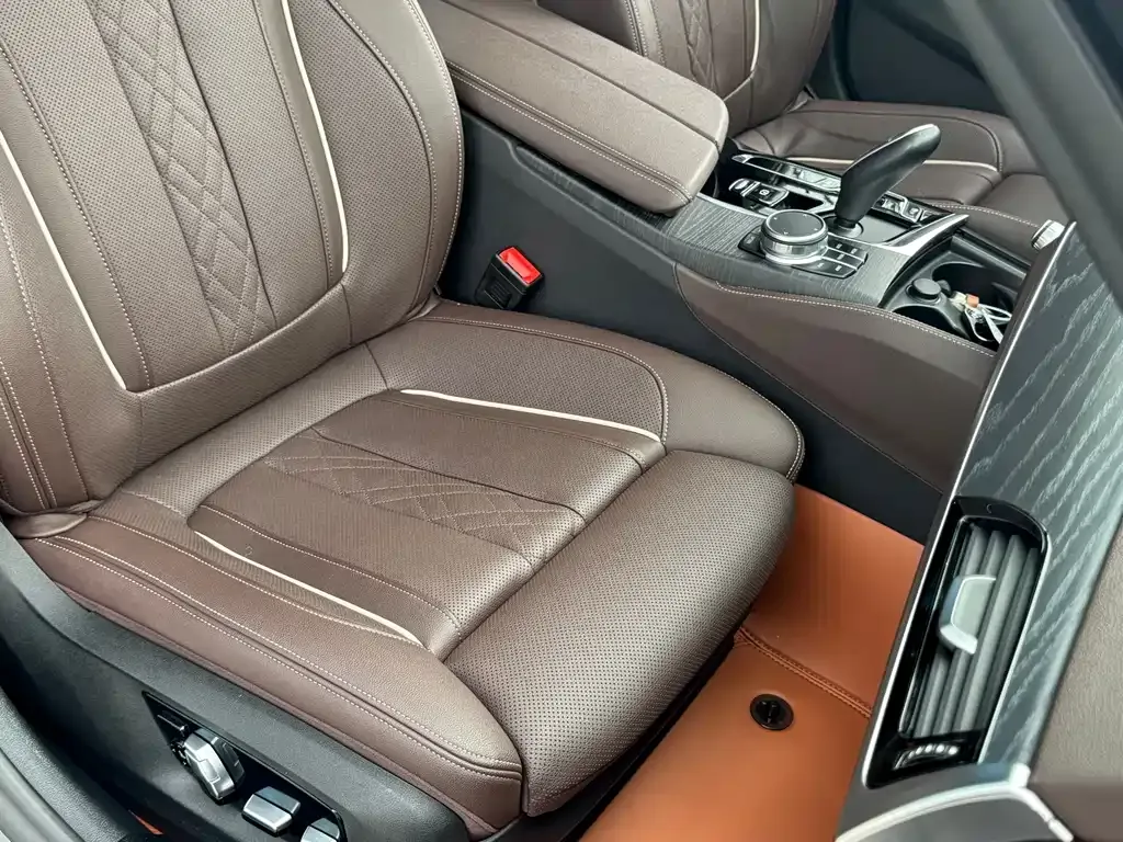 BMW 5 Series 2021 из CN, фото 7