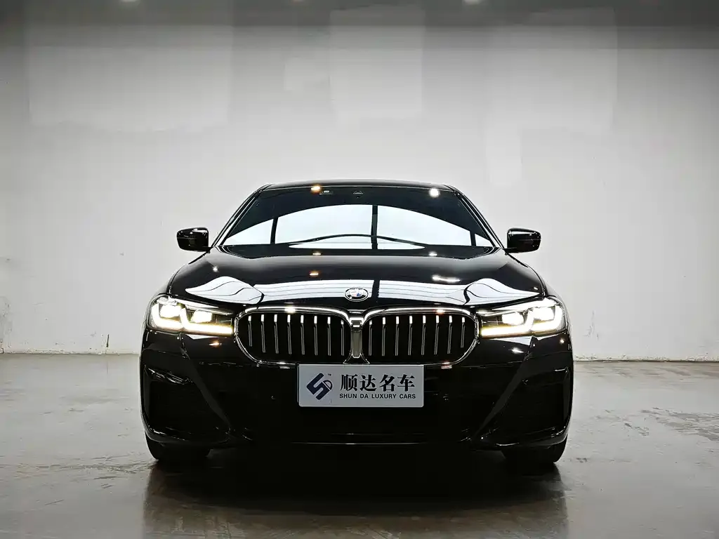 BMW 5 Series 2022 из CN, фото 1