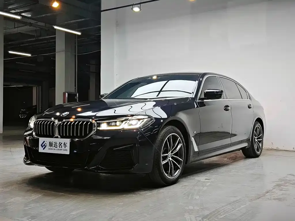 BMW 5 Series 2022 из CN, фото 2