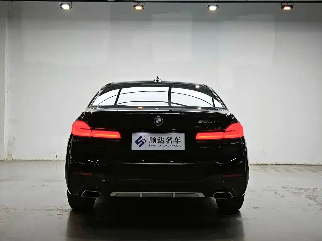 BMW 5 Series 2022 из CN, фото 3