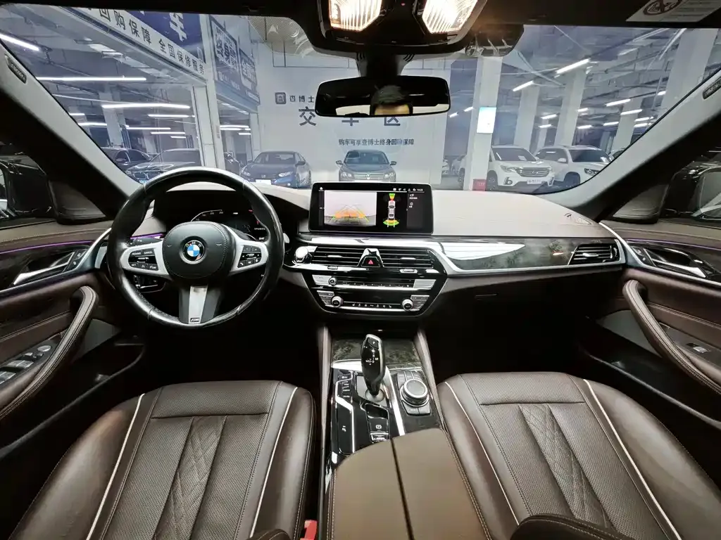 BMW 5 Series 2022 из CN, фото 4