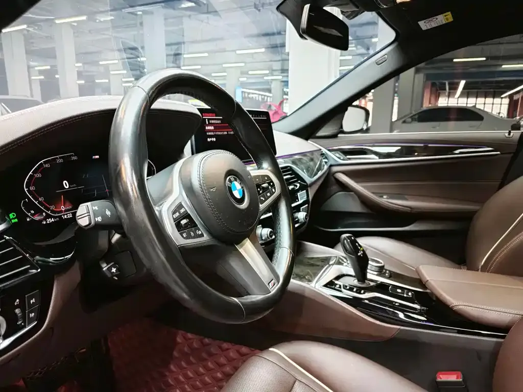 BMW 5 Series 2022 из CN, фото 8