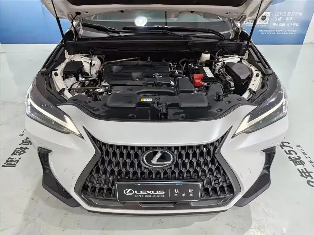 Lexus NX 2023 из CN, фото 3