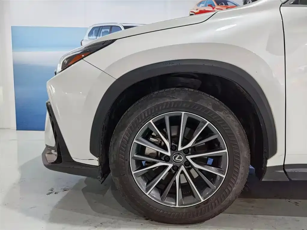 Lexus NX 2023 из CN, фото 4