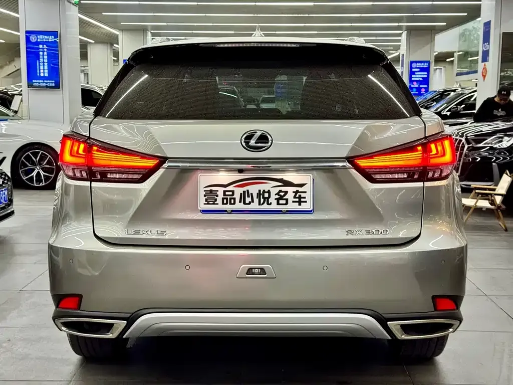Lexus RX 2021 из CN, фото 9