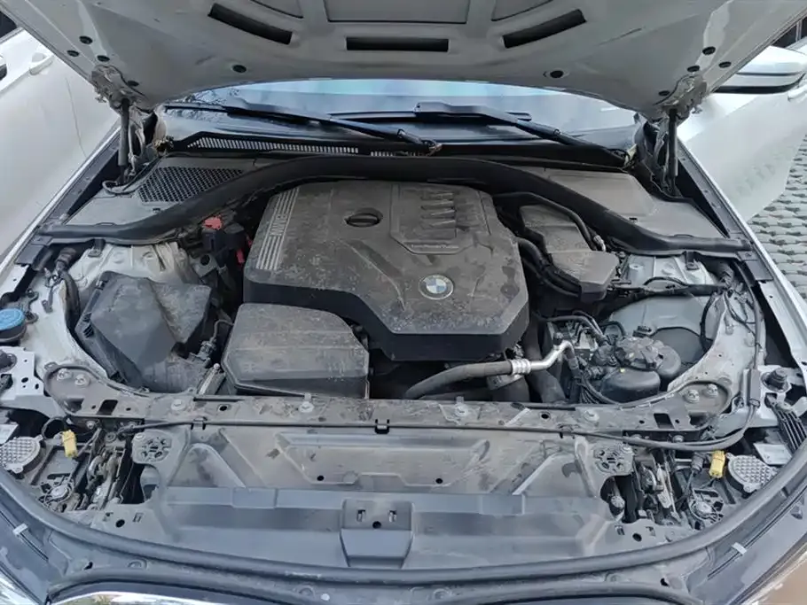 BMW 3 Series 2021 из CN, фото 10