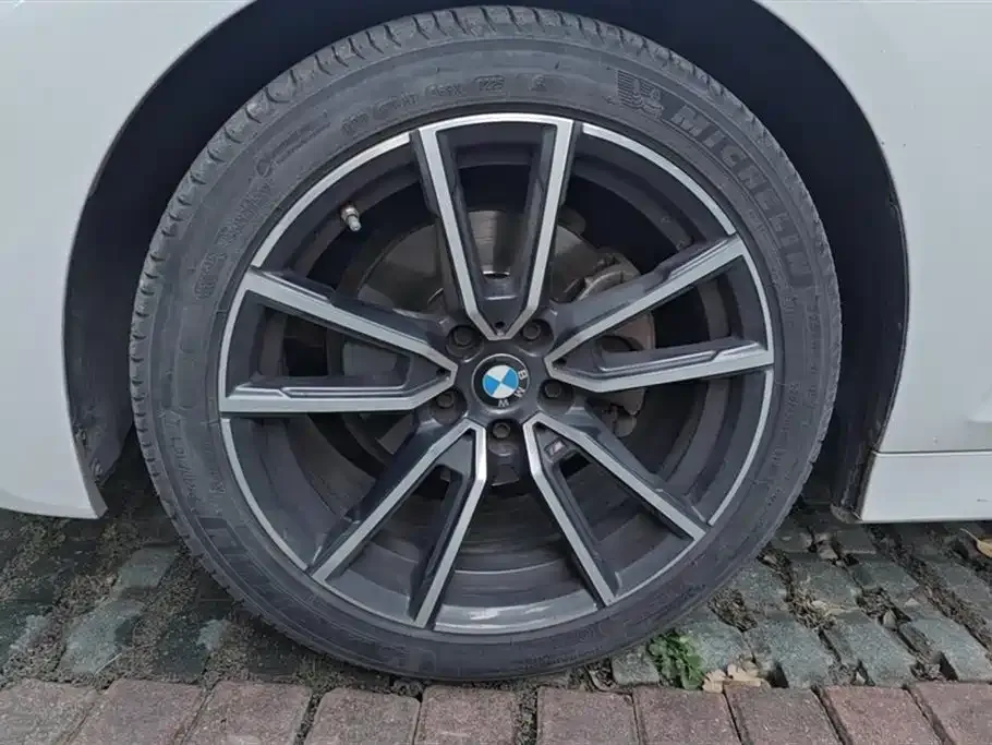 BMW 3 Series 2021 из CN, фото 6