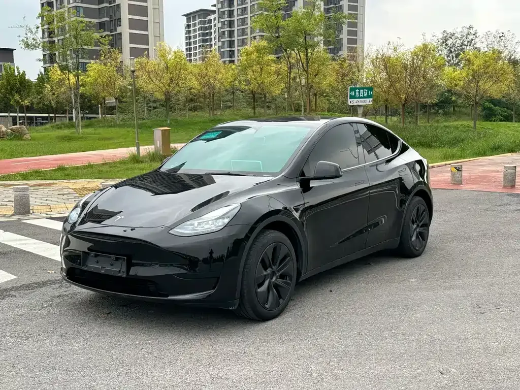 Tesla Model Y — фото 1