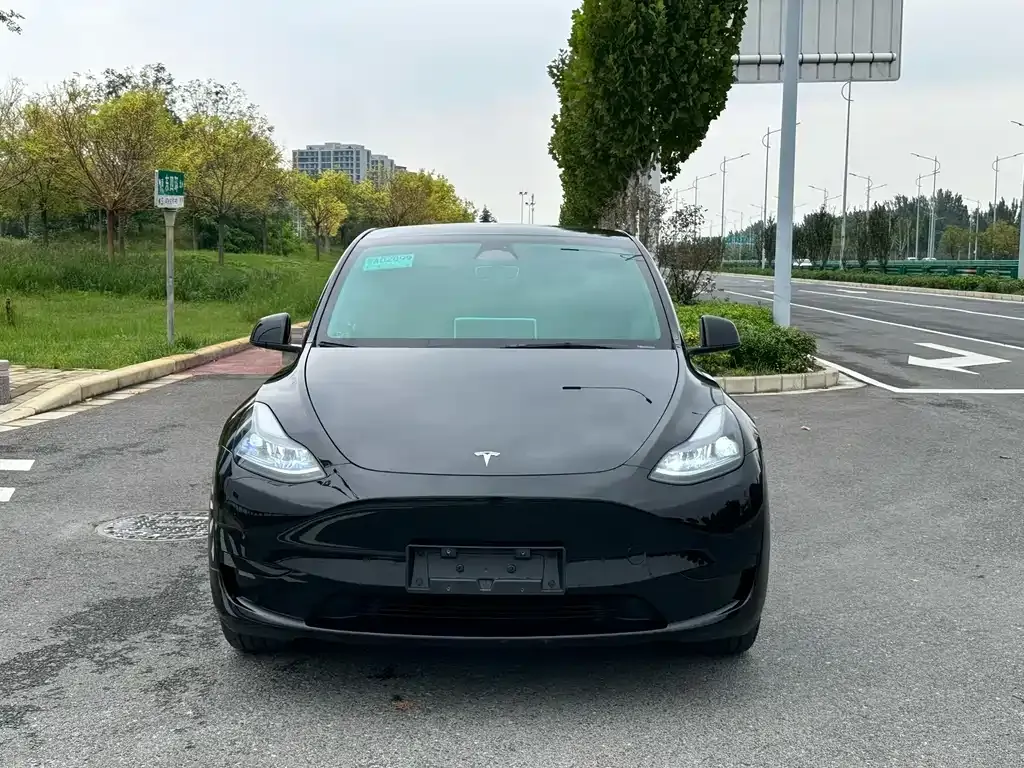 Tesla Model Y — фото 2