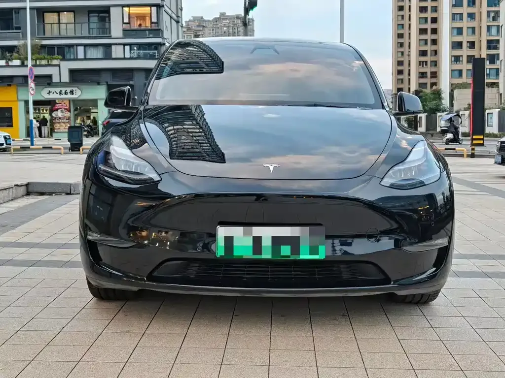 Tesla Model Y — фото 2