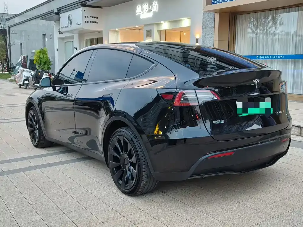 Tesla Model Y — фото 9