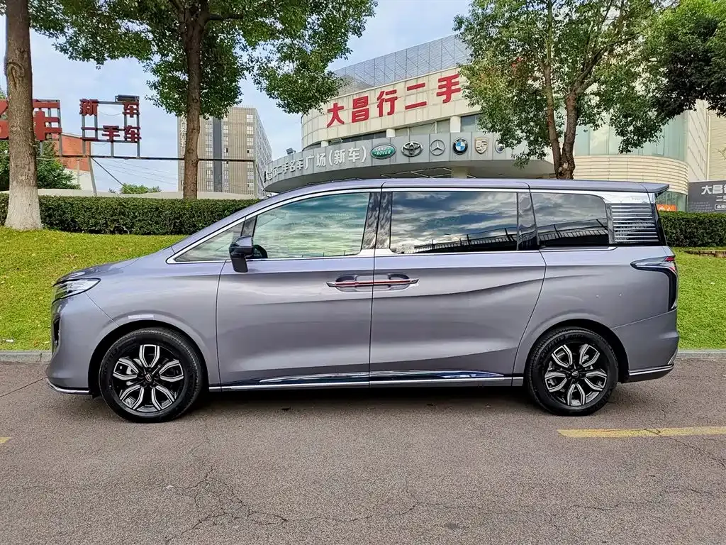 Hongqi HQ9 2023 из CN, фото 3