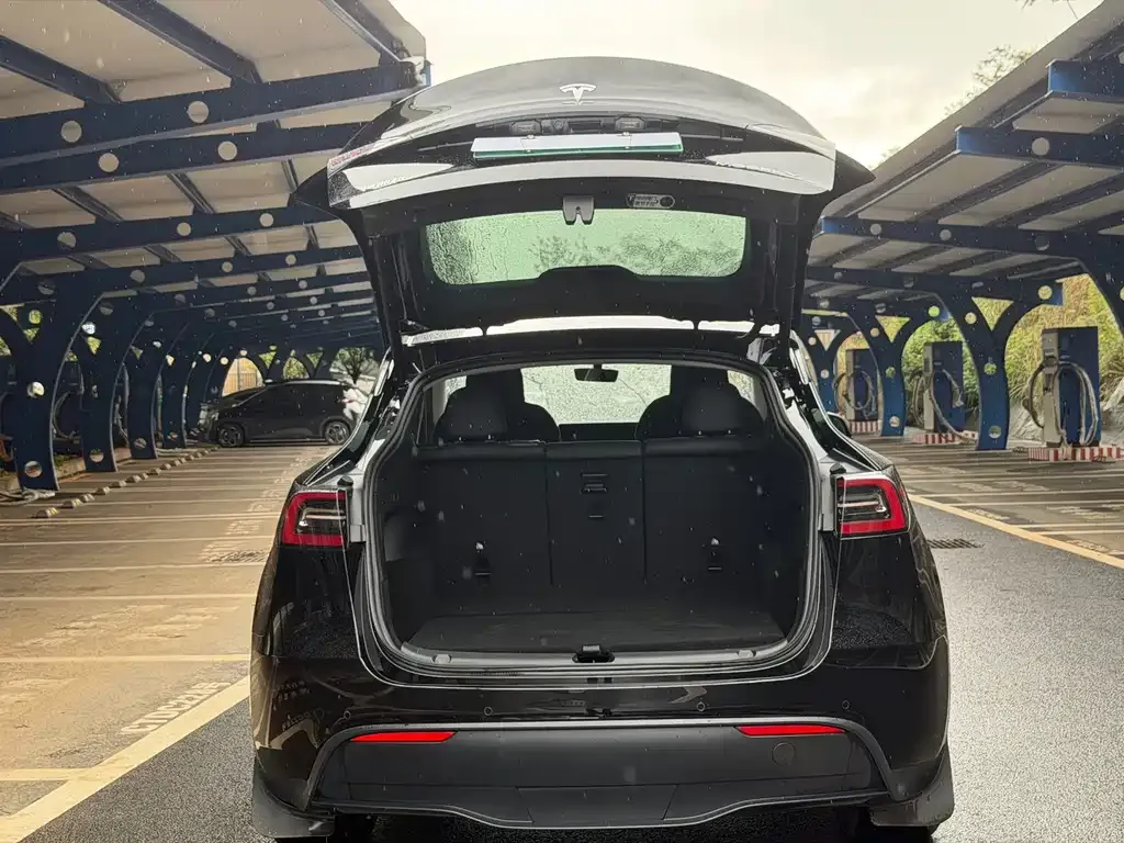 Tesla Model Y — фото 10