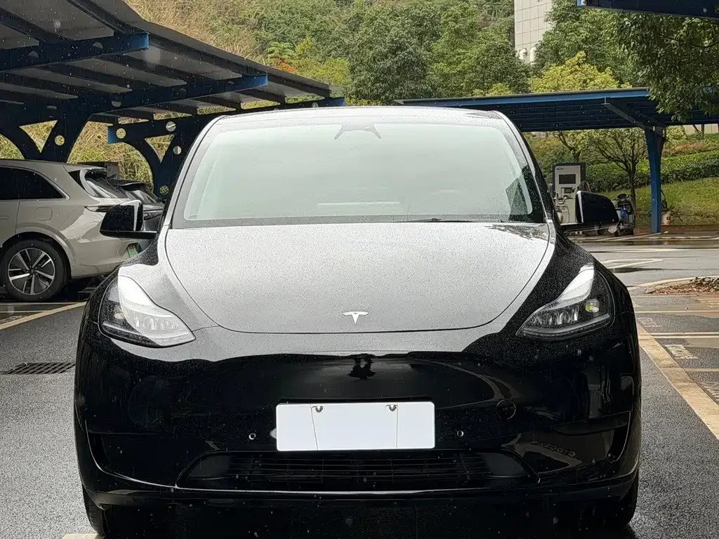 Tesla Model Y — фото 2