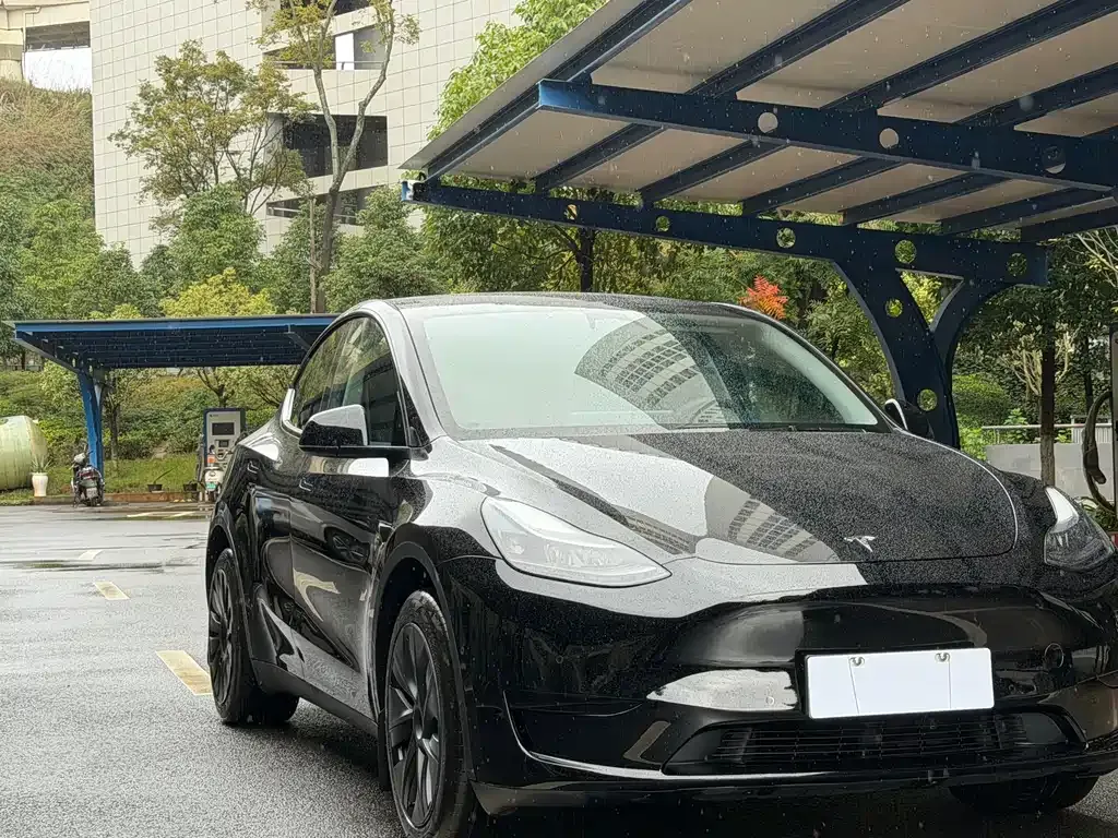 Tesla Model Y — фото 3