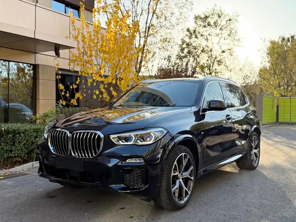 BMW X5 (Import) — фото 1