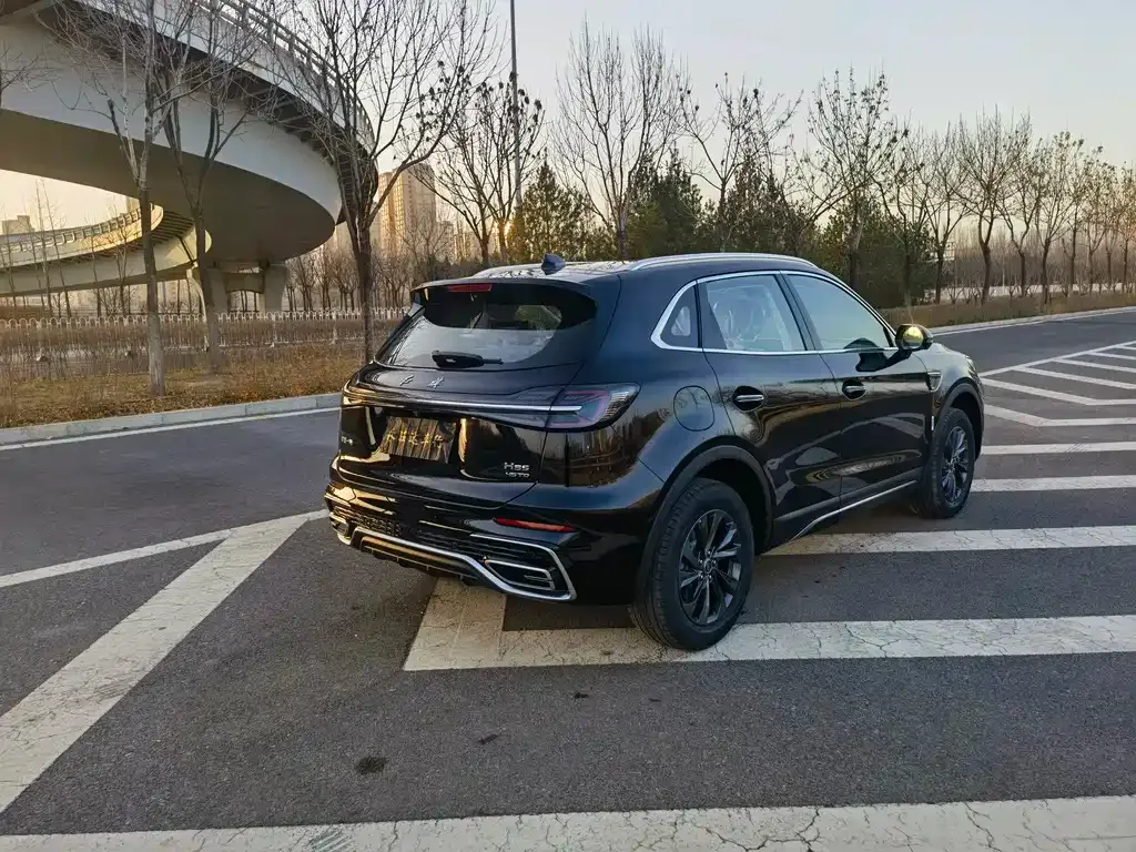 Hongqi HS5 2025 из CN, фото 6