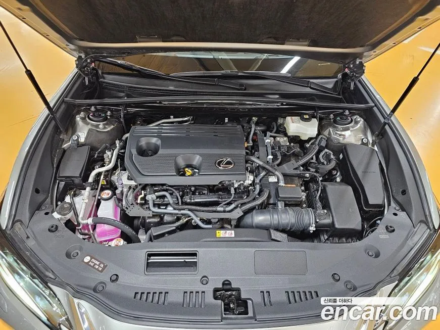 Lexus ES 2025 из KR, фото 6