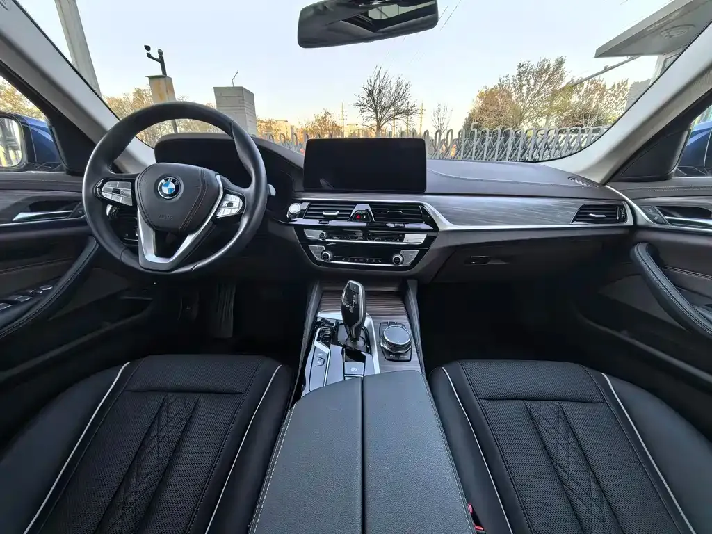 BMW 5 Series New Energy 2023 из CN, фото 10