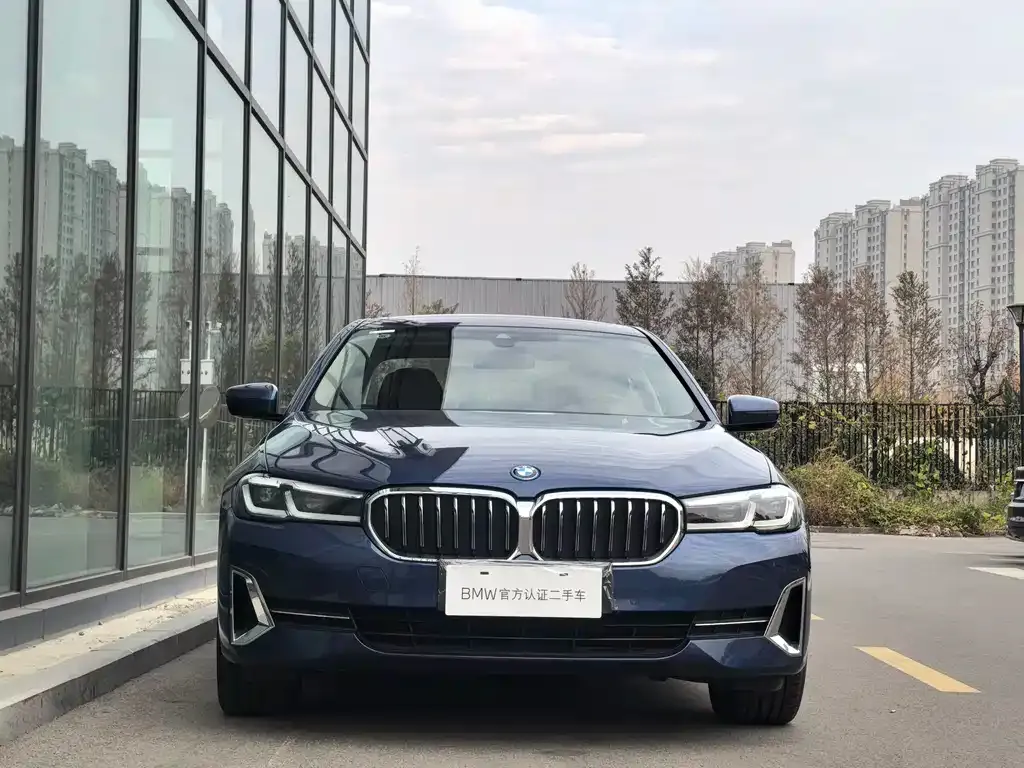 BMW 5 Series New Energy 2023 из CN, фото 3